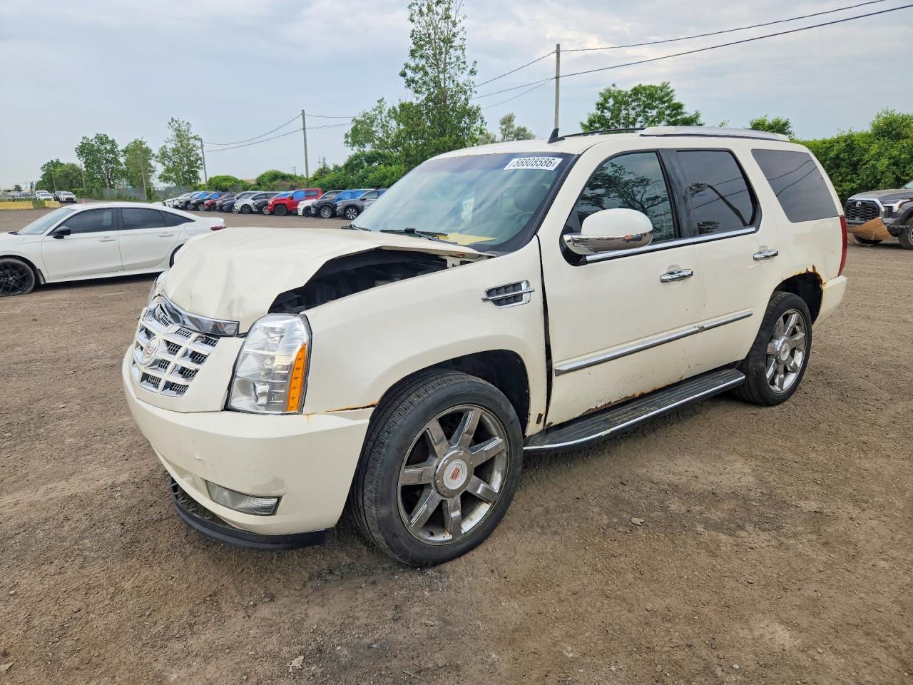 2011 Cadillac Escalade Luxury Beige vin: 1GYS4BEF4BR230297