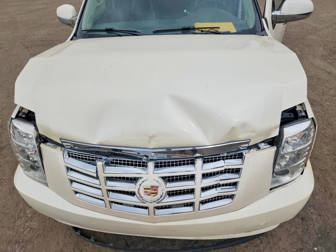 2011 Cadillac Escalade Luxury Beige vin: 1GYS4BEF4BR230297