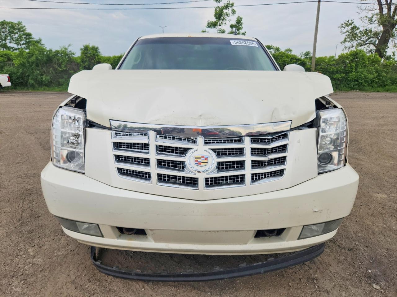 2011 Cadillac Escalade Luxury Beige vin: 1GYS4BEF4BR230297