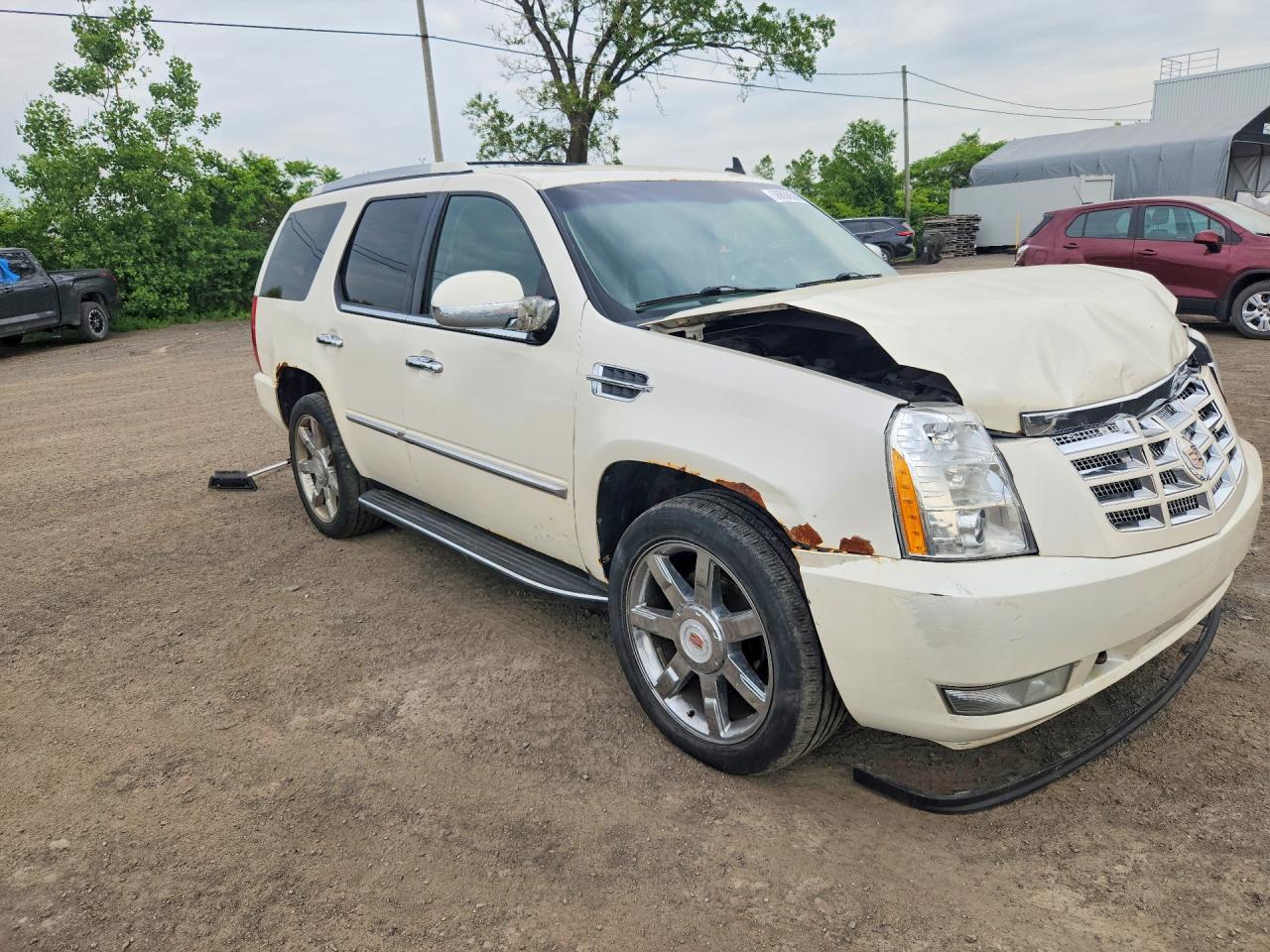 2011 Cadillac Escalade Luxury Beige vin: 1GYS4BEF4BR230297