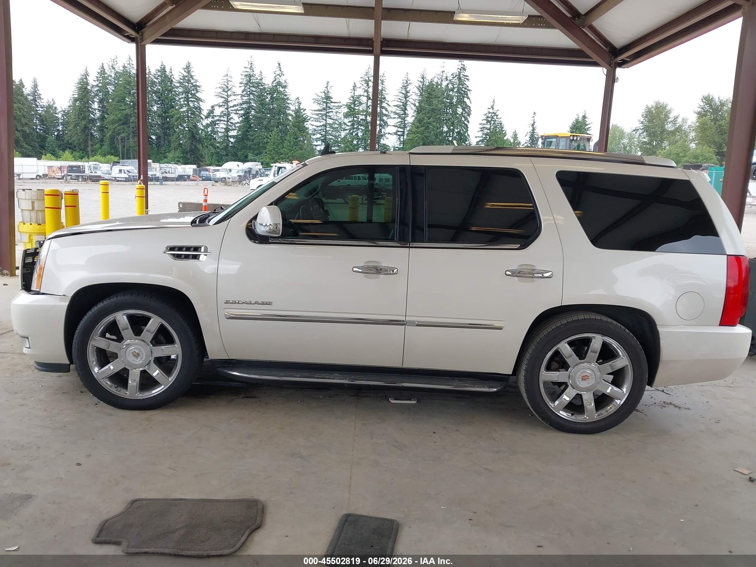 2013 Cadillac Escalade Luxury White vin: 1GYS4BEF6DR281187