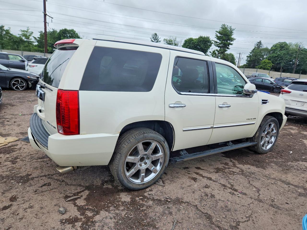 2014 Cadillac Escalade Luxury Белый vin: 1GYS4BEFXER216313