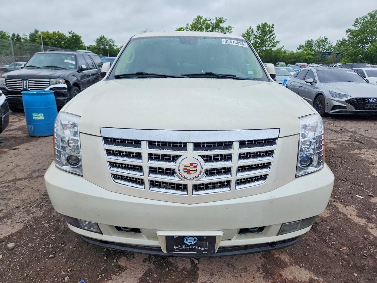 2014 Cadillac Escalade Luxury Белый vin: 1GYS4BEFXER216313