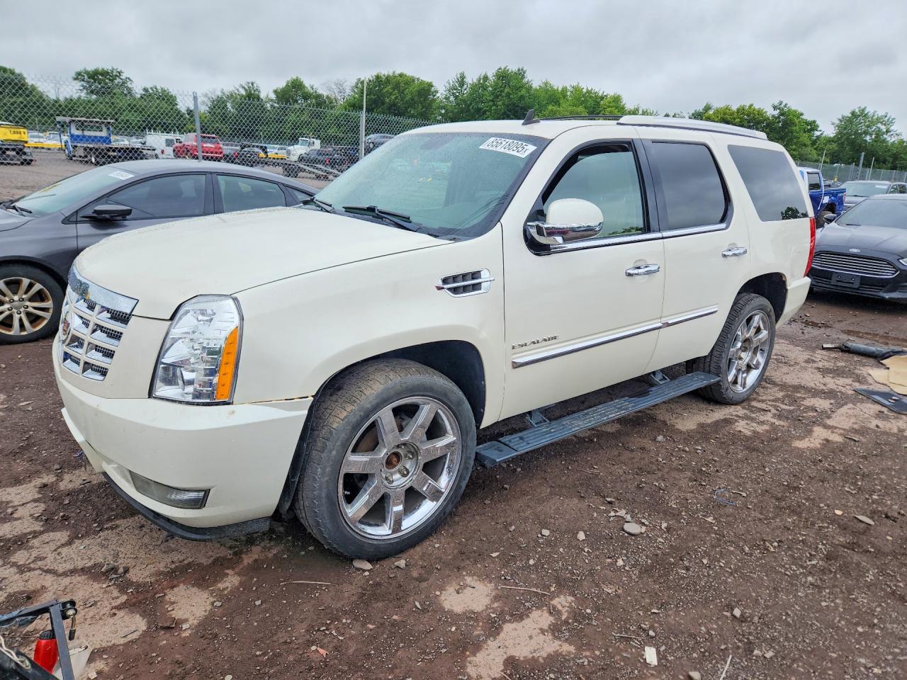 2014 Cadillac Escalade Luxury Белый vin: 1GYS4BEFXER216313