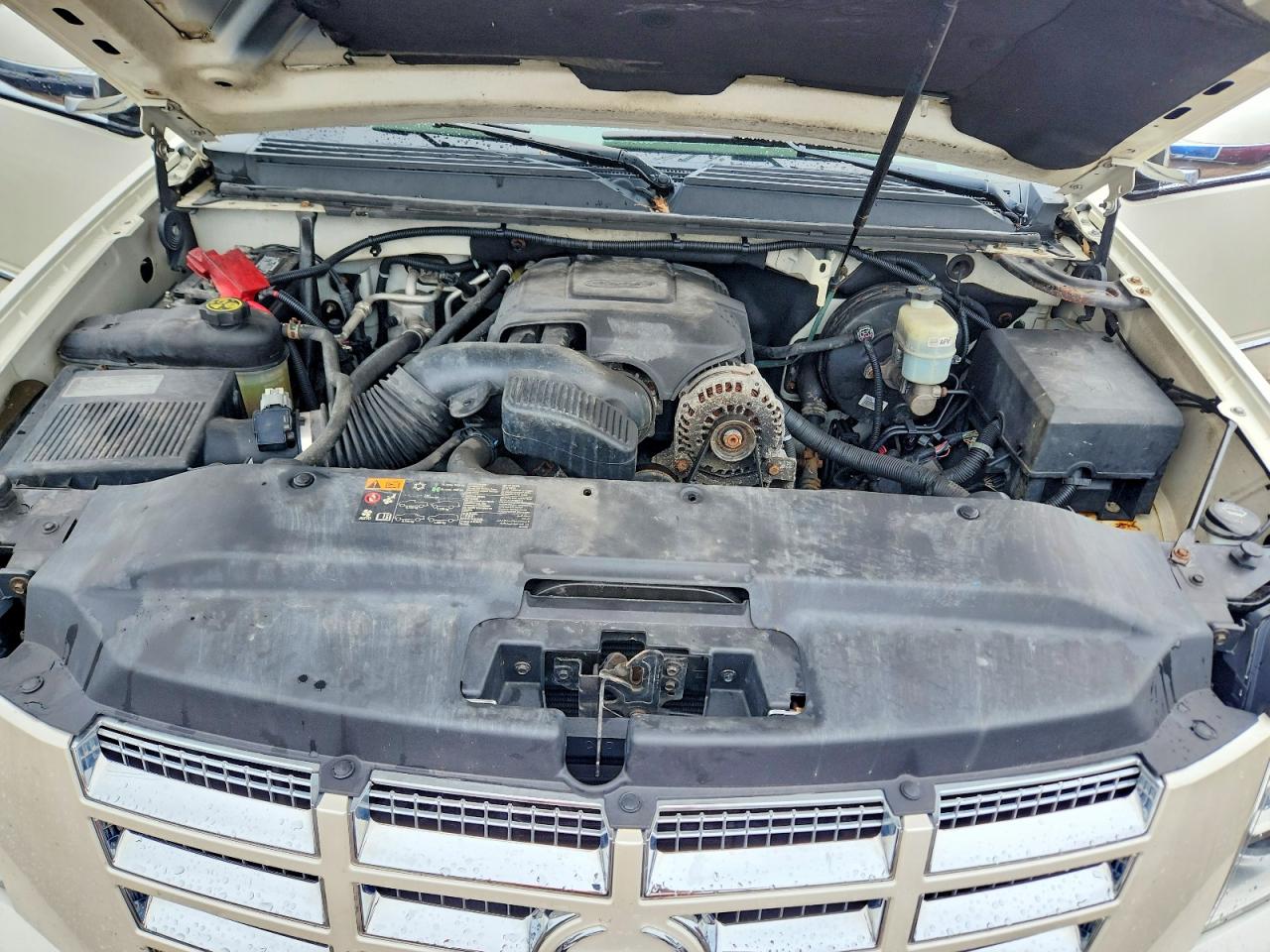 2014 Cadillac Escalade Luxury Белый vin: 1GYS4BEFXER216313