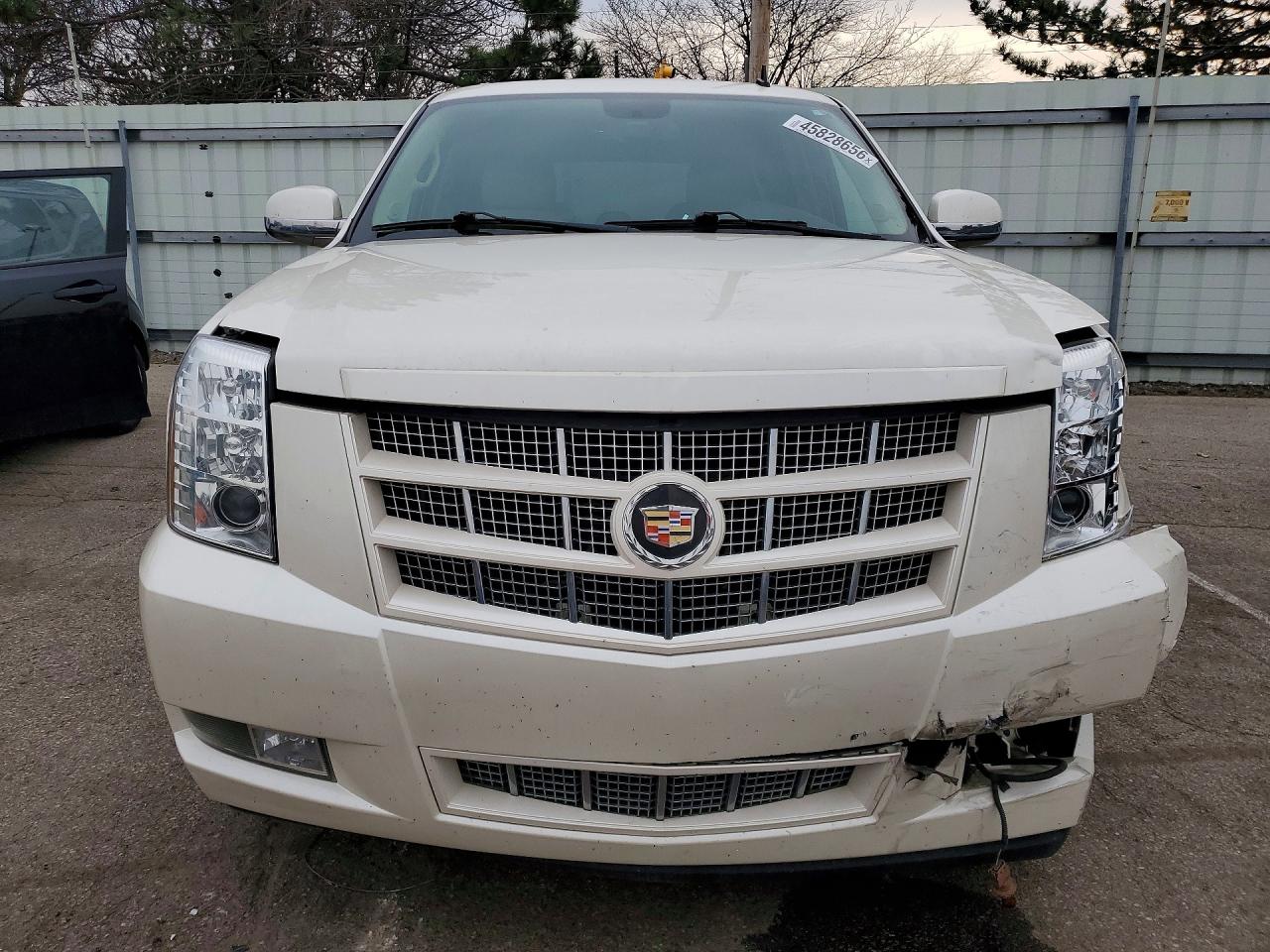 2014 Cadillac Escalade Premium White vin: 1GYS4CEF9ER166428