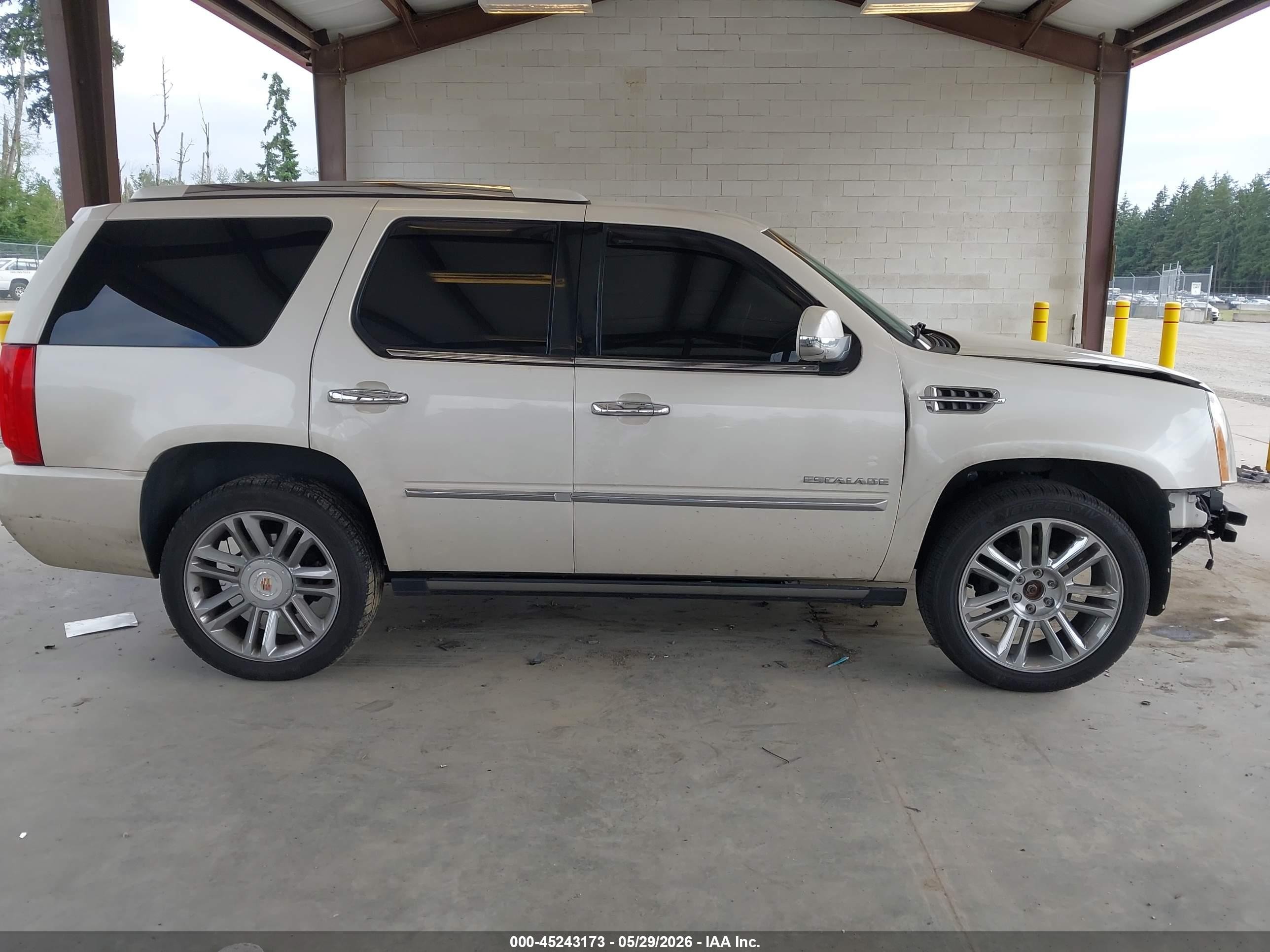 2013 Cadillac Escalade Platinum Edition White vin: 1GYS4DEF9DR368433
