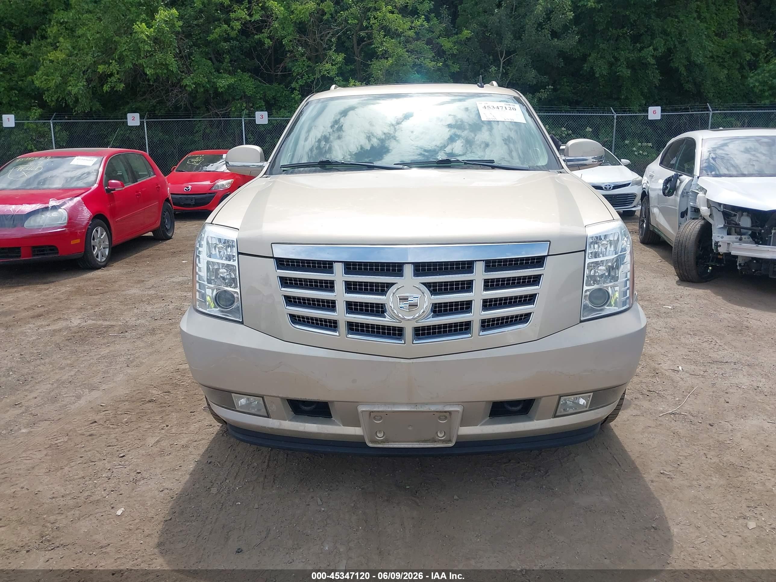 2011 Cadillac Escalade Esv Luxury Champagne vin: 1GYS4HEF3BR387354