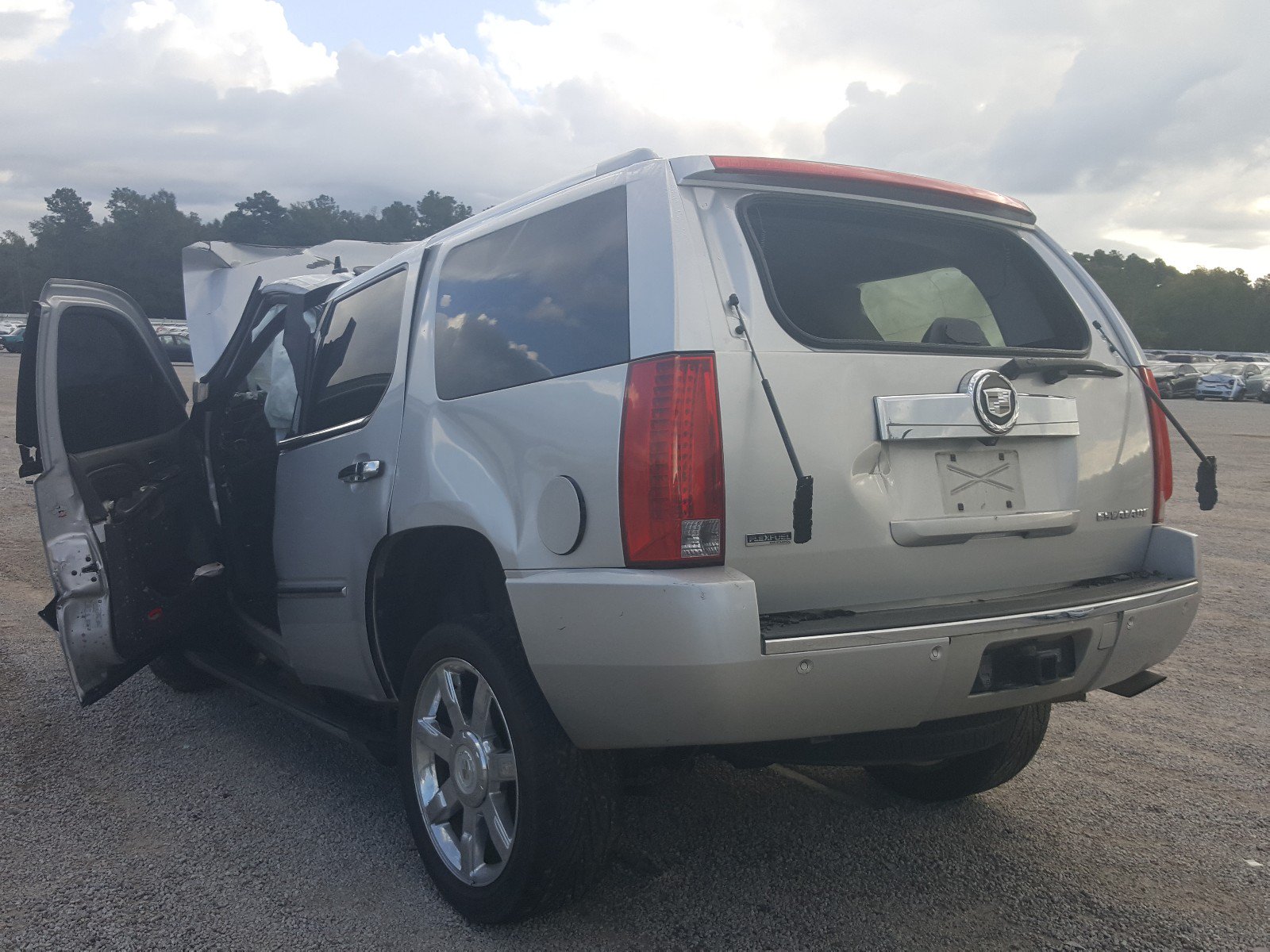2010 Cadillac Escalade Premium Silver vin: 1GYUCCEF2AR107436