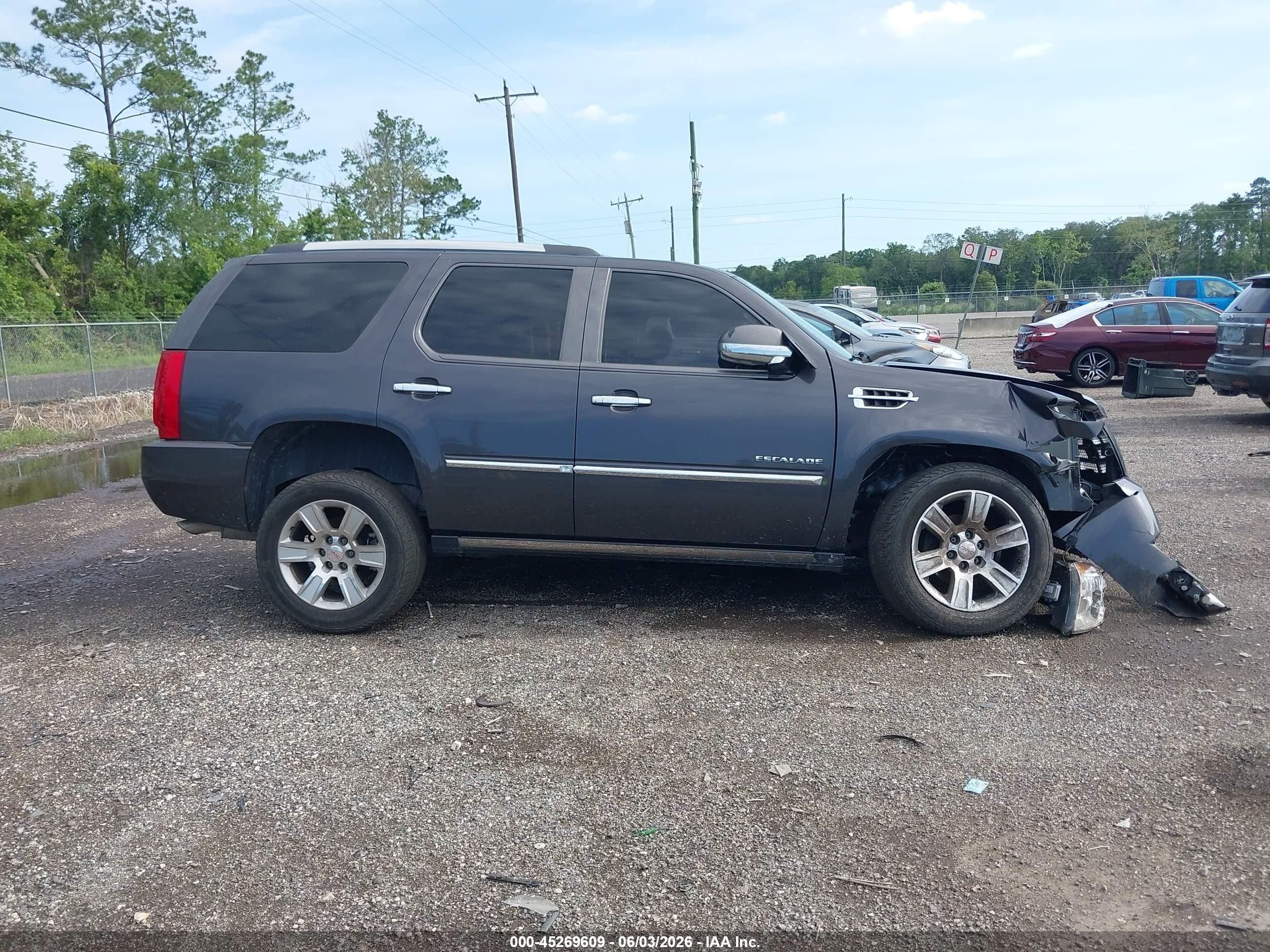 2010 Cadillac Escalade Premium Black vin: 1GYUCCEF5AR219440