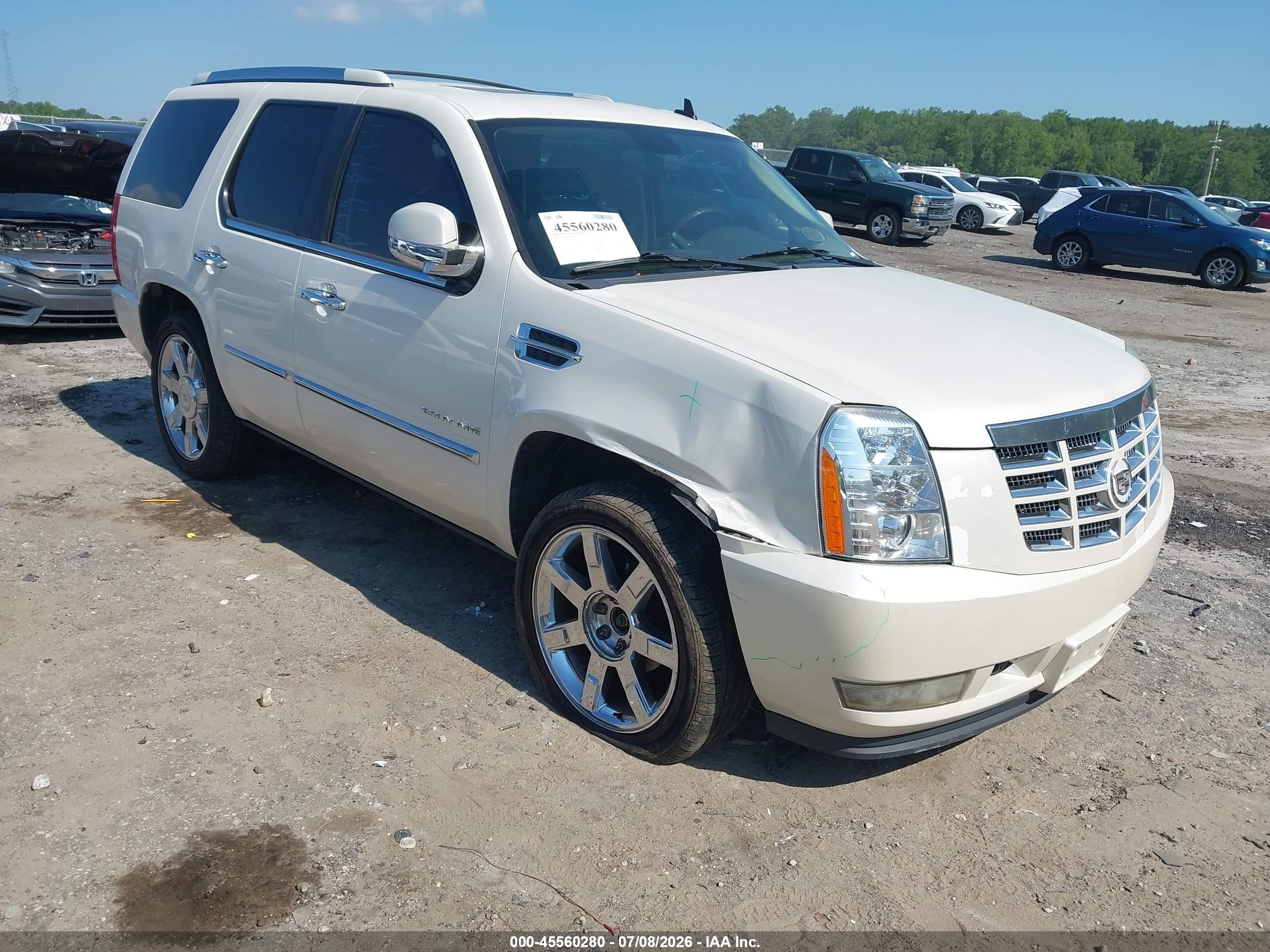 2010 Cadillac Escalade Luxury White vin: 1GYUKBEF2AR270536