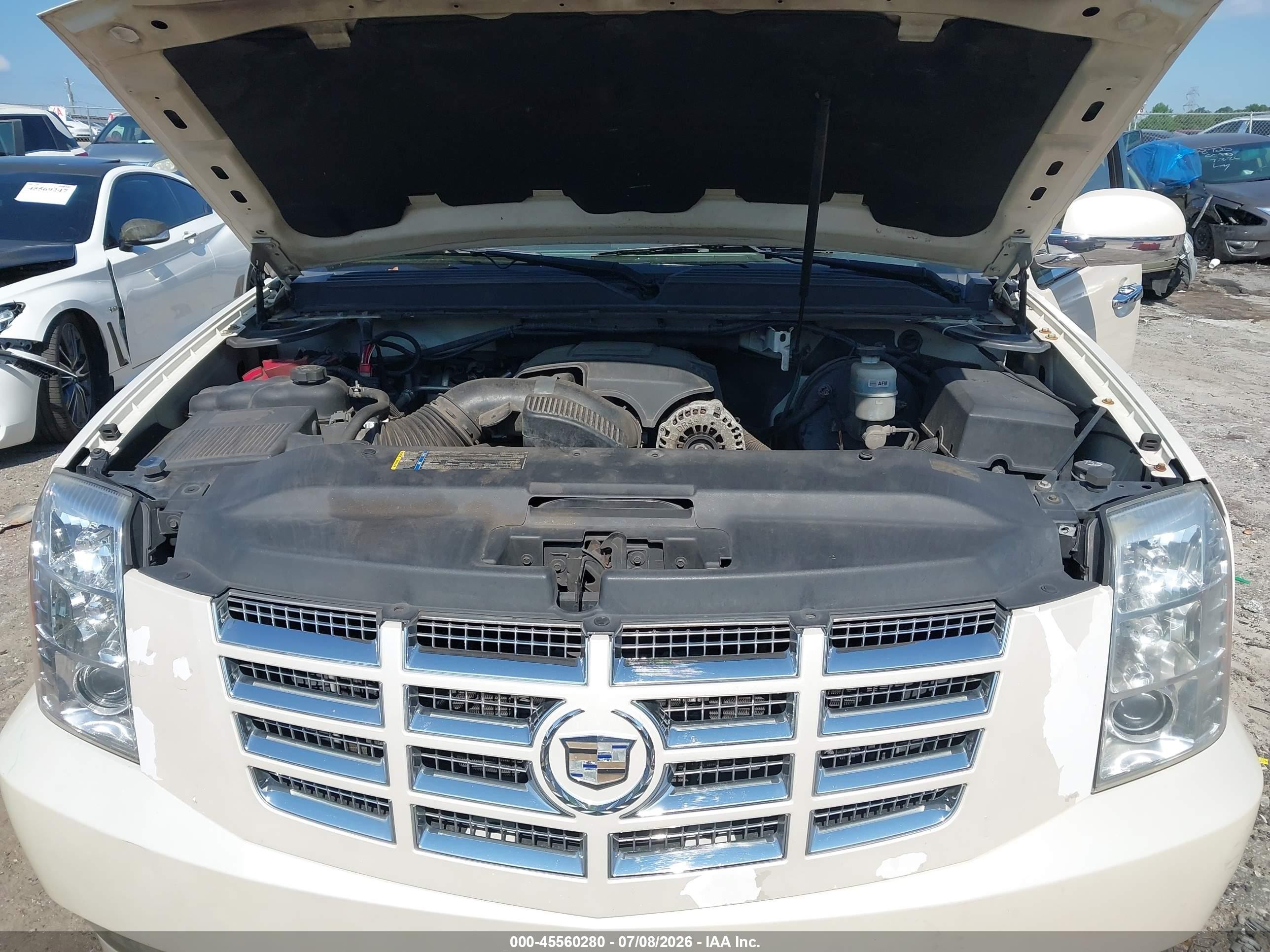 2010 Cadillac Escalade Luxury White vin: 1GYUKBEF2AR270536