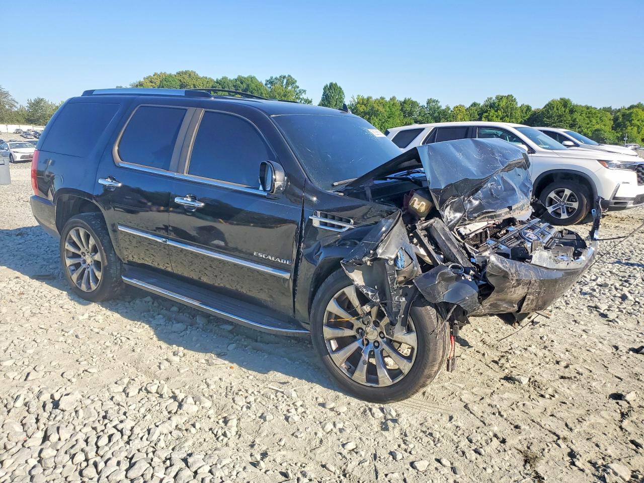 2010 Cadillac Escalade Luxury Black vin: 1GYUKBEF7AR213636