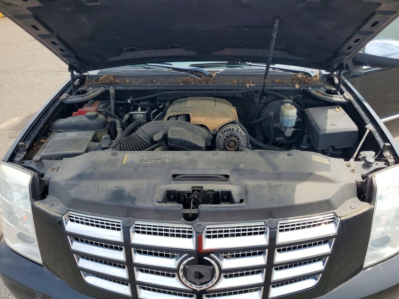2010 Cadillac Escalade Premium Black vin: 1GYUKCEF6AR167447