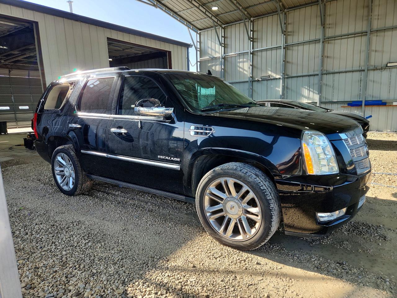 2010 Cadillac Escalade Platinum Black vin: 1GYUKDEF6AR162139