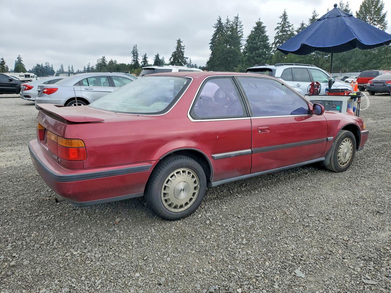 1991 Honda Accord Ex Бордовый vin: 1HGCB7164MA040134