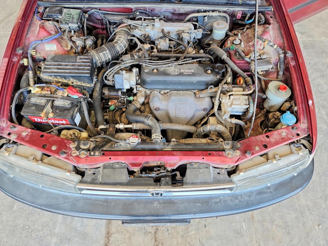 1993 Honda Accord Dx Red vin: 1HGCB7248PA010071