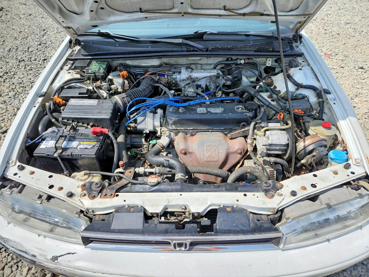 1993 Honda Accord 10th Anniversary Белый vin: 1HGCB7693PA154276