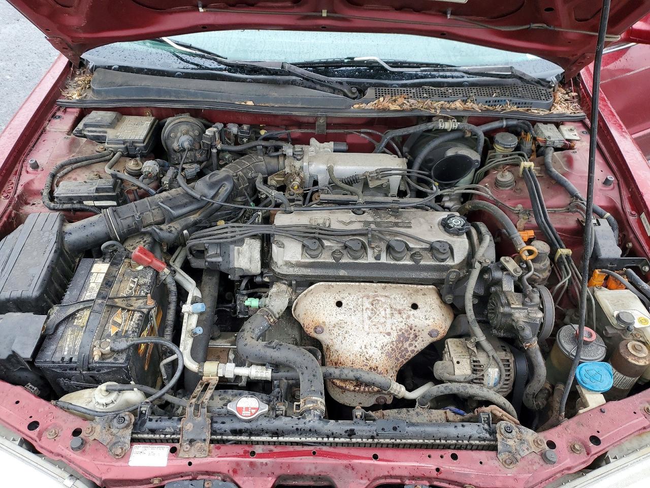1997 Honda Accord Ex Темно-бордовый vin: 1HGCD5550VA182529