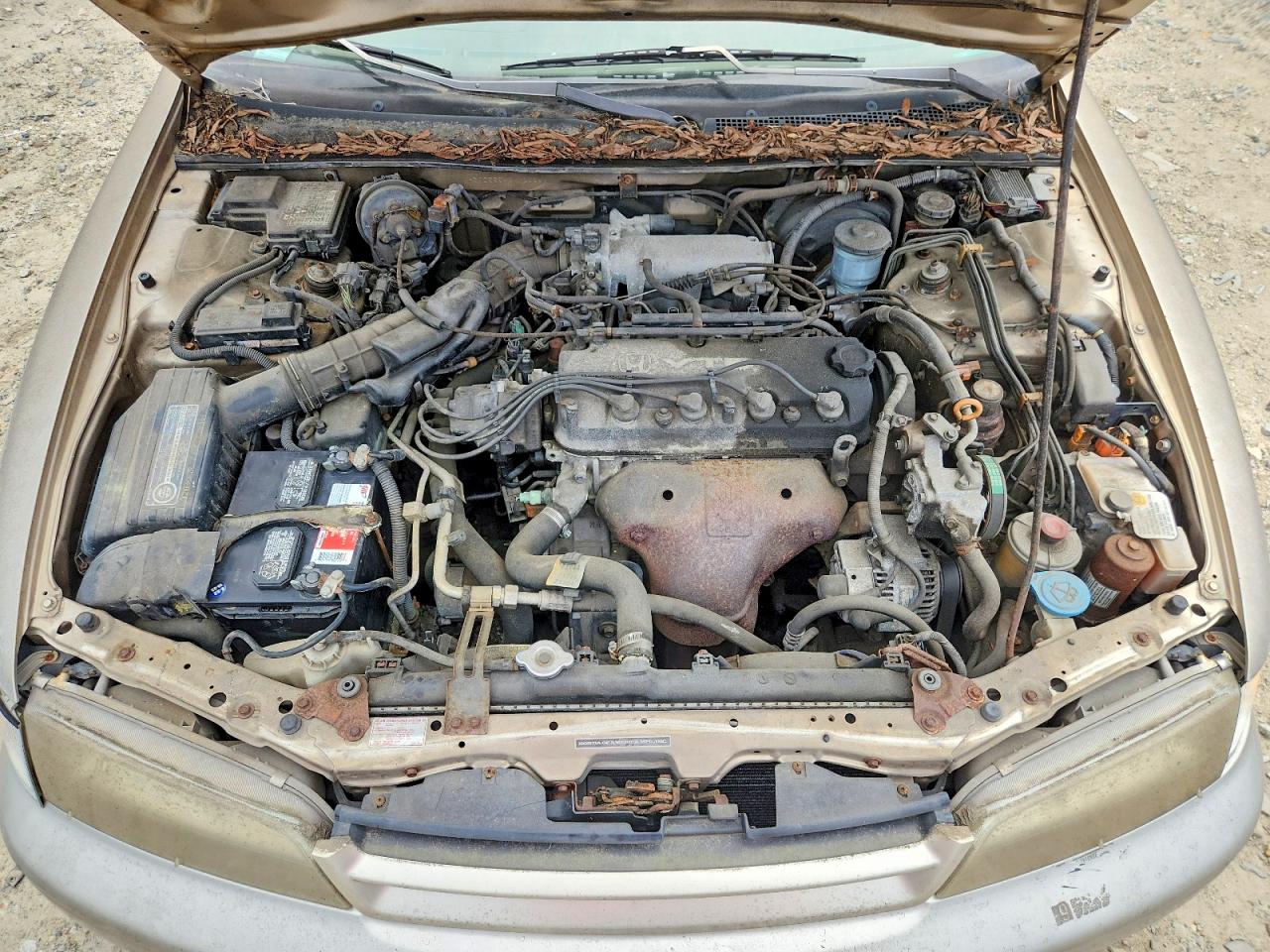 1994 Honda Accord Ex Tan vin: 1HGCD5554RA125241