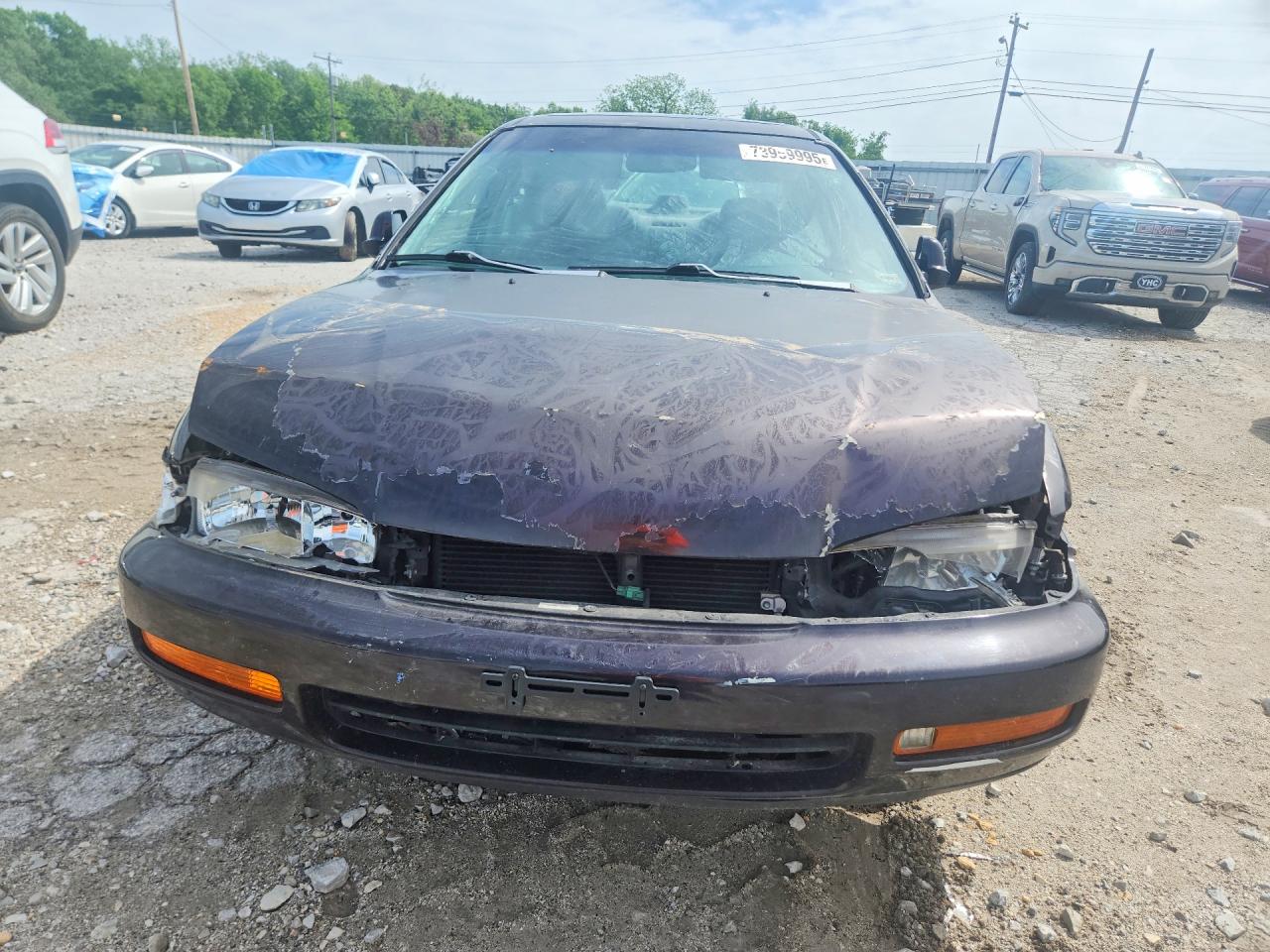 1997 Honda Accord Se Фиолетовый vin: 1HGCD5600VA085186