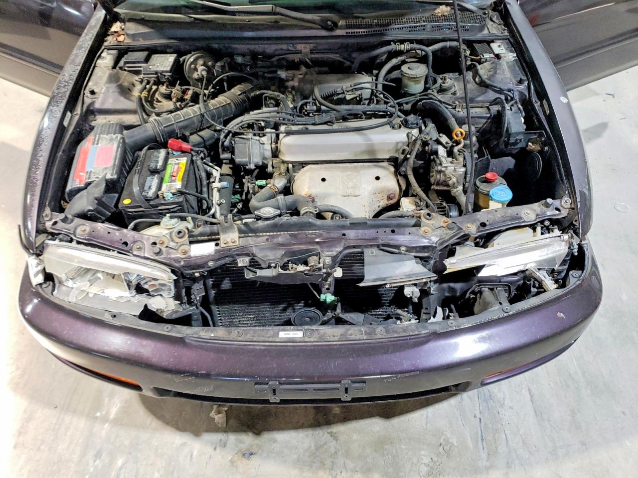 1997 Honda Accord Se Фиолетовый vin: 1HGCD5600VA085186
