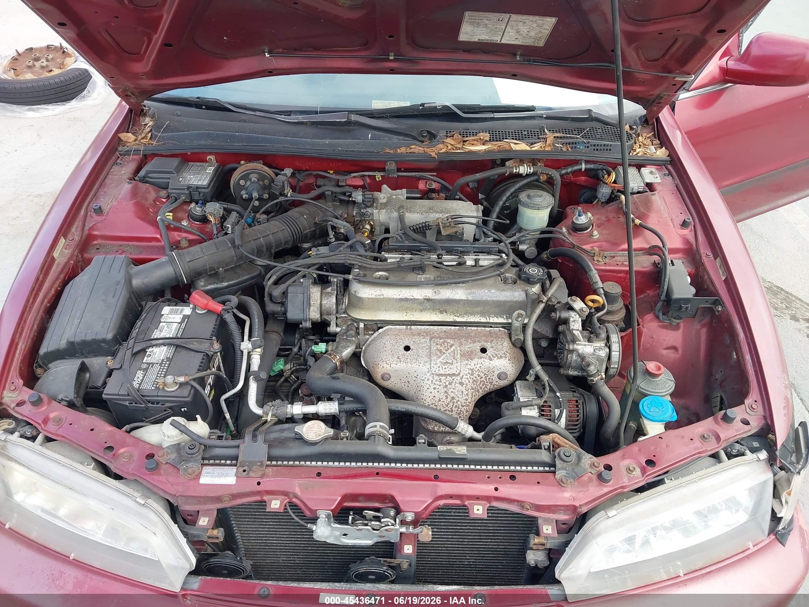 1996 Honda Accord Lx/ex Burgundy vin: 1HGCD5630TA278669