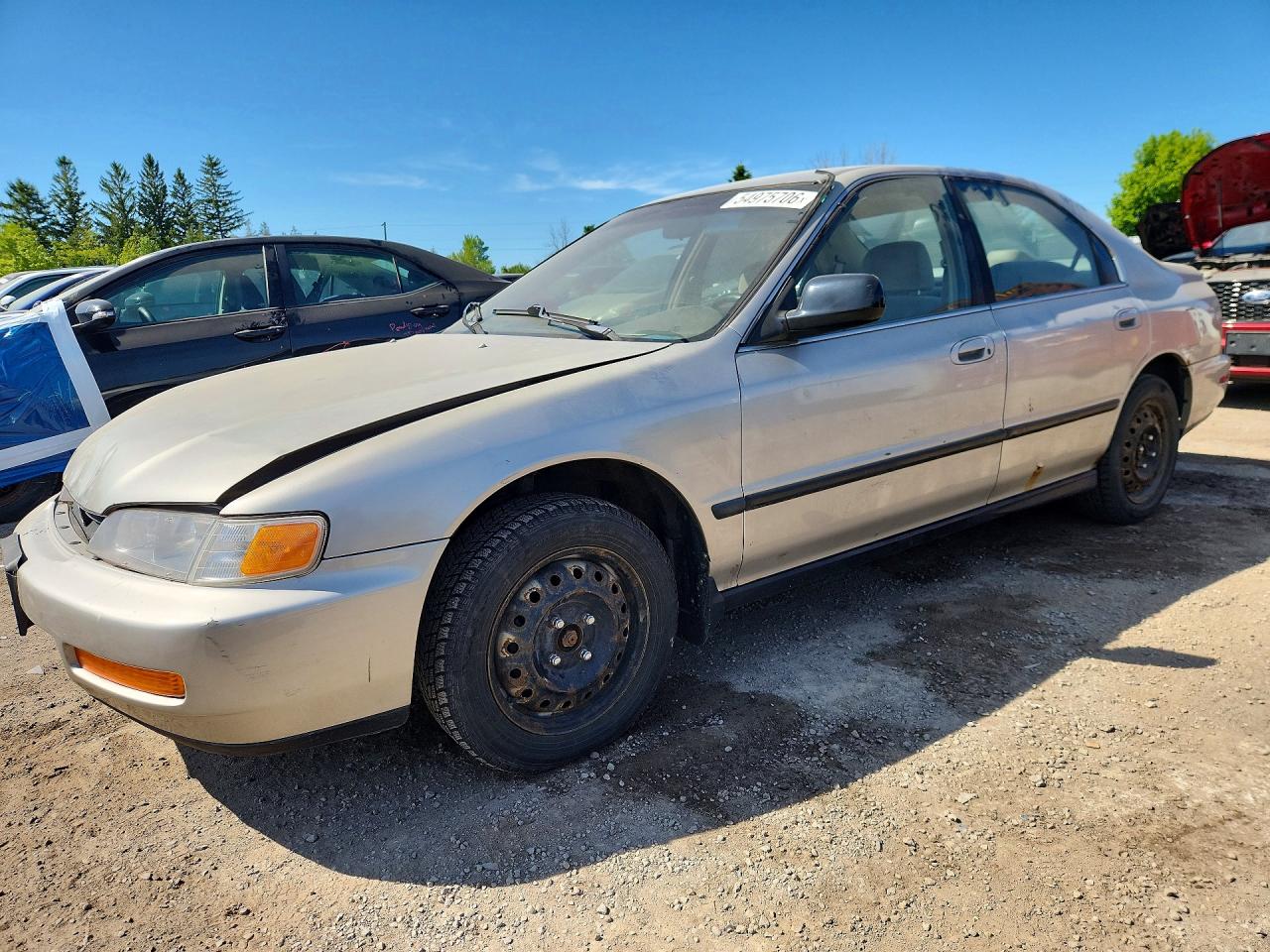 1996 Honda Accord Lx Золотой vin: 1HGCD5631TA814660