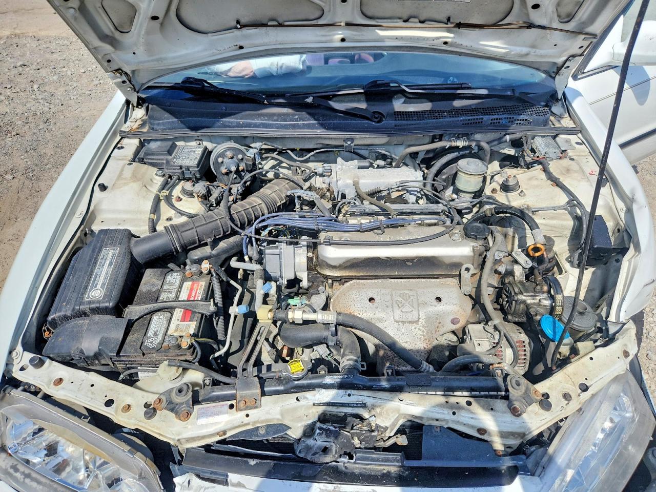 1995 Honda Accord Lx White vin: 1HGCD5632SA164798