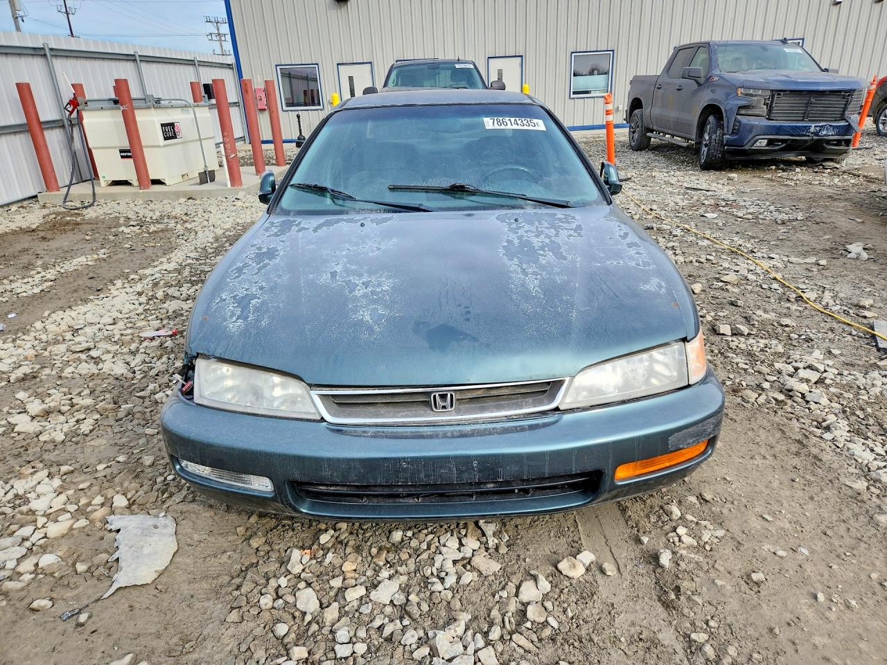 1996 Honda Accord Lx Green vin: 1HGCD5632TA013431