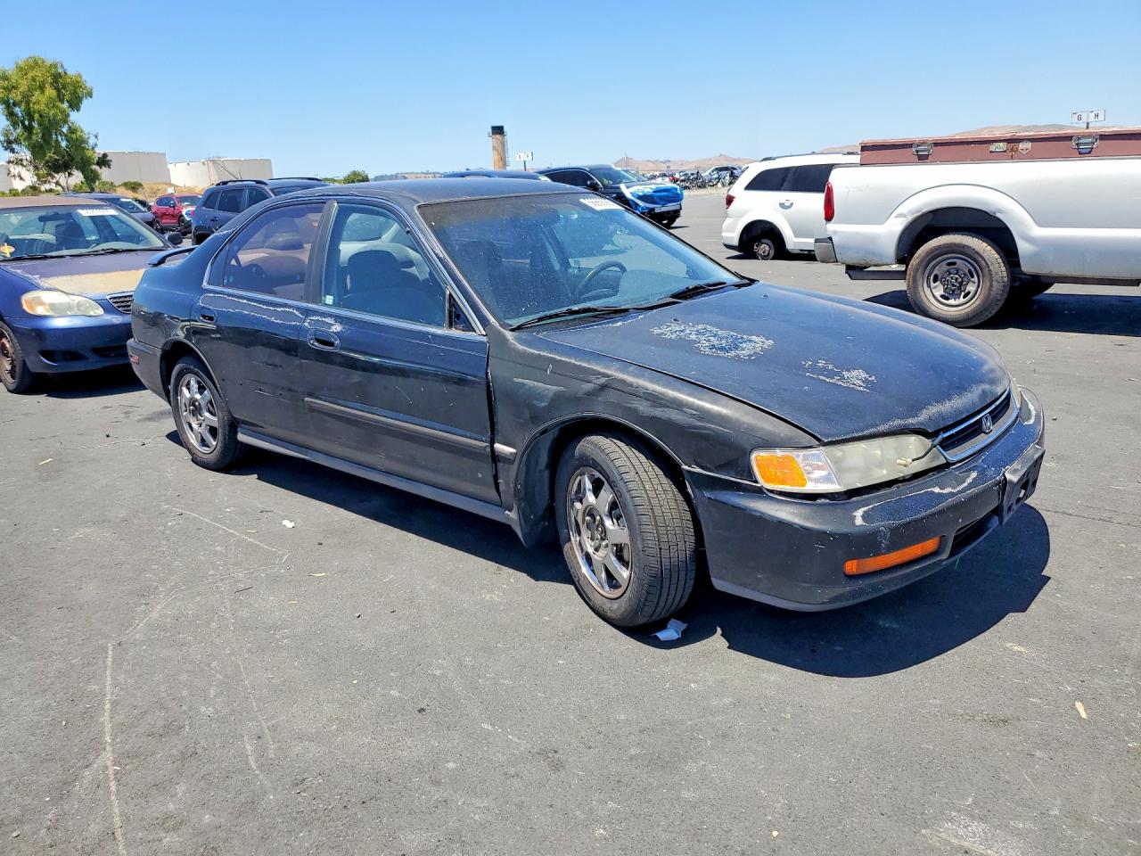 1996 Honda Accord Lx Black vin: 1HGCD5632TA241655