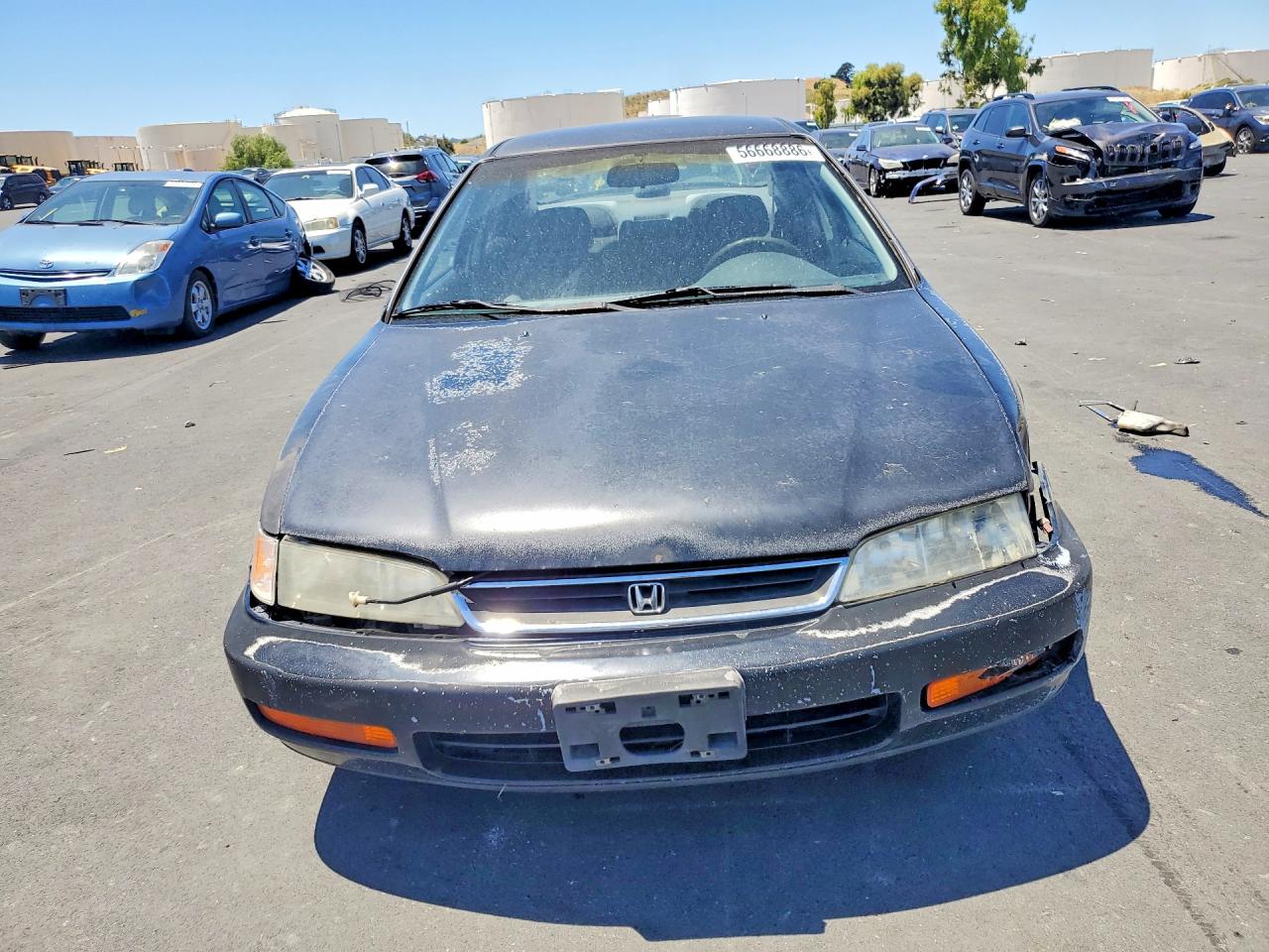 1996 Honda Accord Lx Black vin: 1HGCD5632TA241655