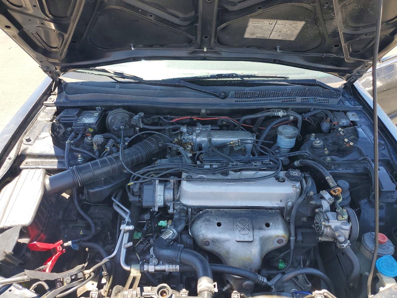 1996 Honda Accord Lx Black vin: 1HGCD5632TA241655