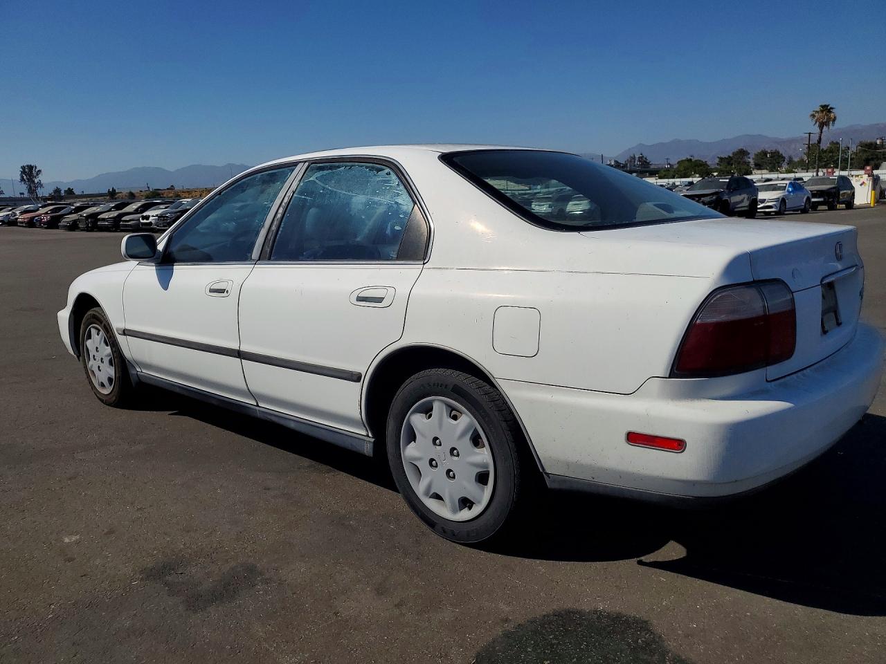 1996 Honda Accord Lx White vin: 1HGCD5633TA301488