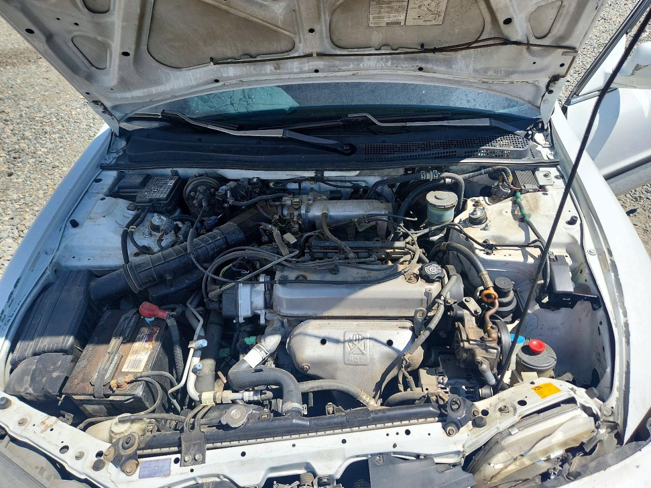 1997 Honda Accord Lx White vin: 1HGCD5634VA130317