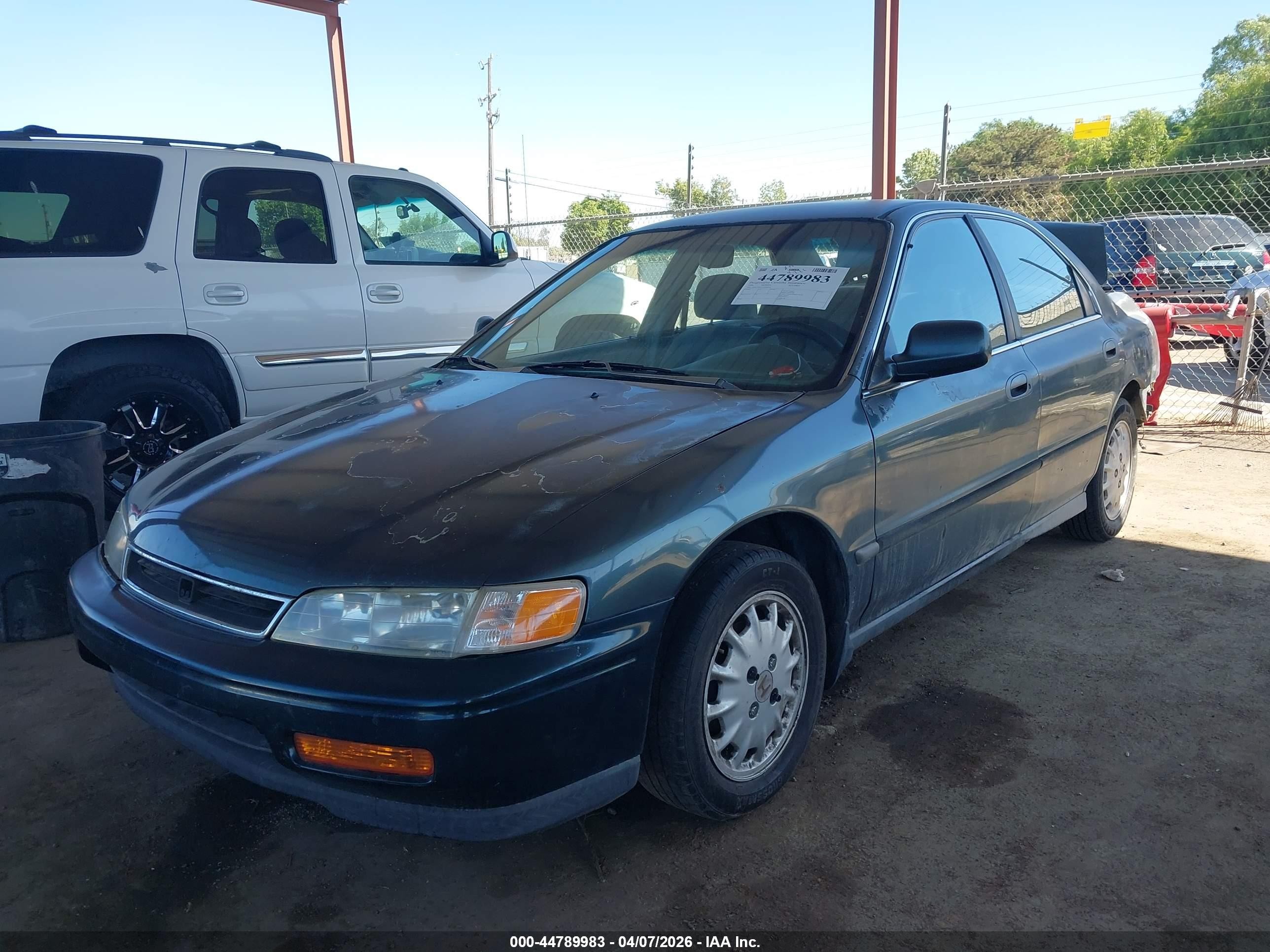 1996 Honda Accord Lx/ex Зеленый vin: 1HGCD5635TA040302