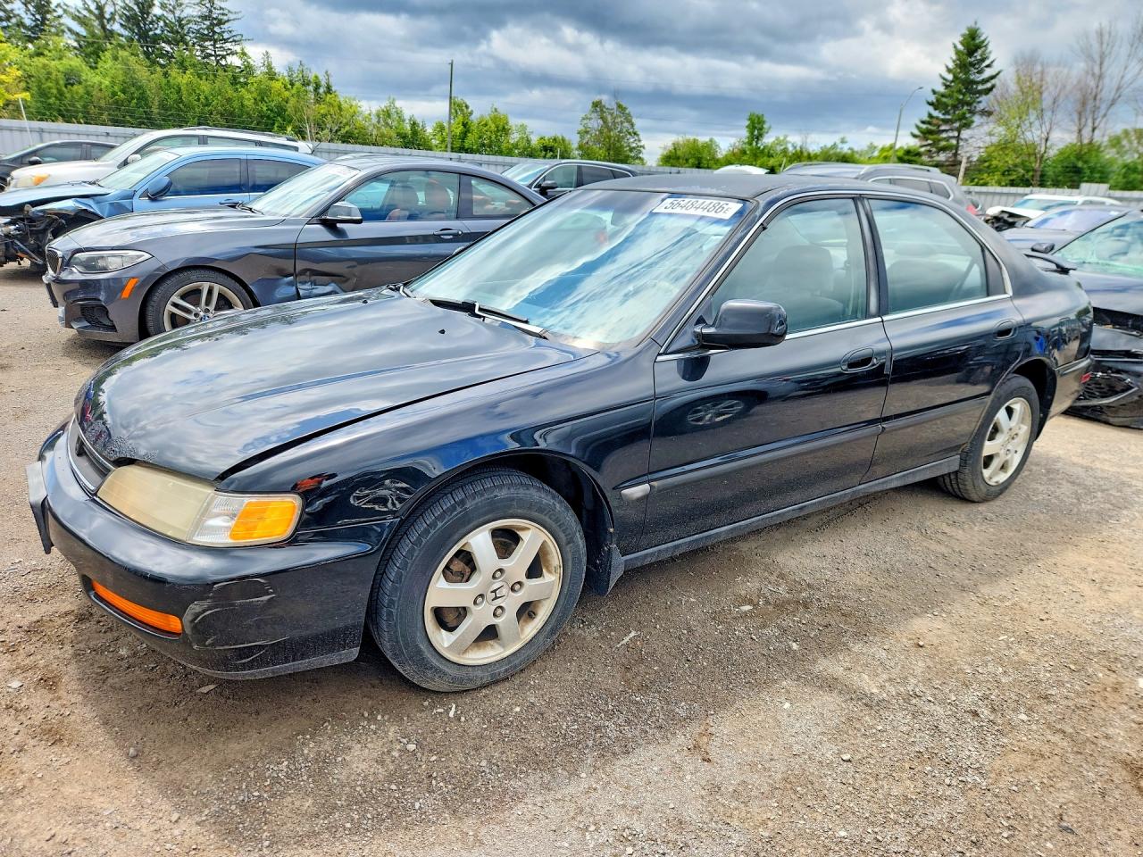 1996 Honda Accord Lx Black vin: 1HGCD5635TA810370