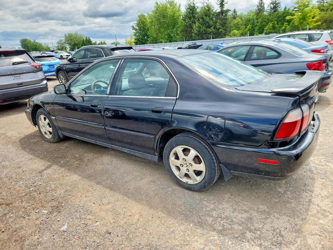 1996 Honda Accord Lx Black vin: 1HGCD5635TA810370
