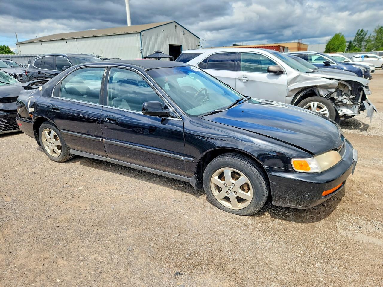 1996 Honda Accord Lx Black vin: 1HGCD5635TA810370