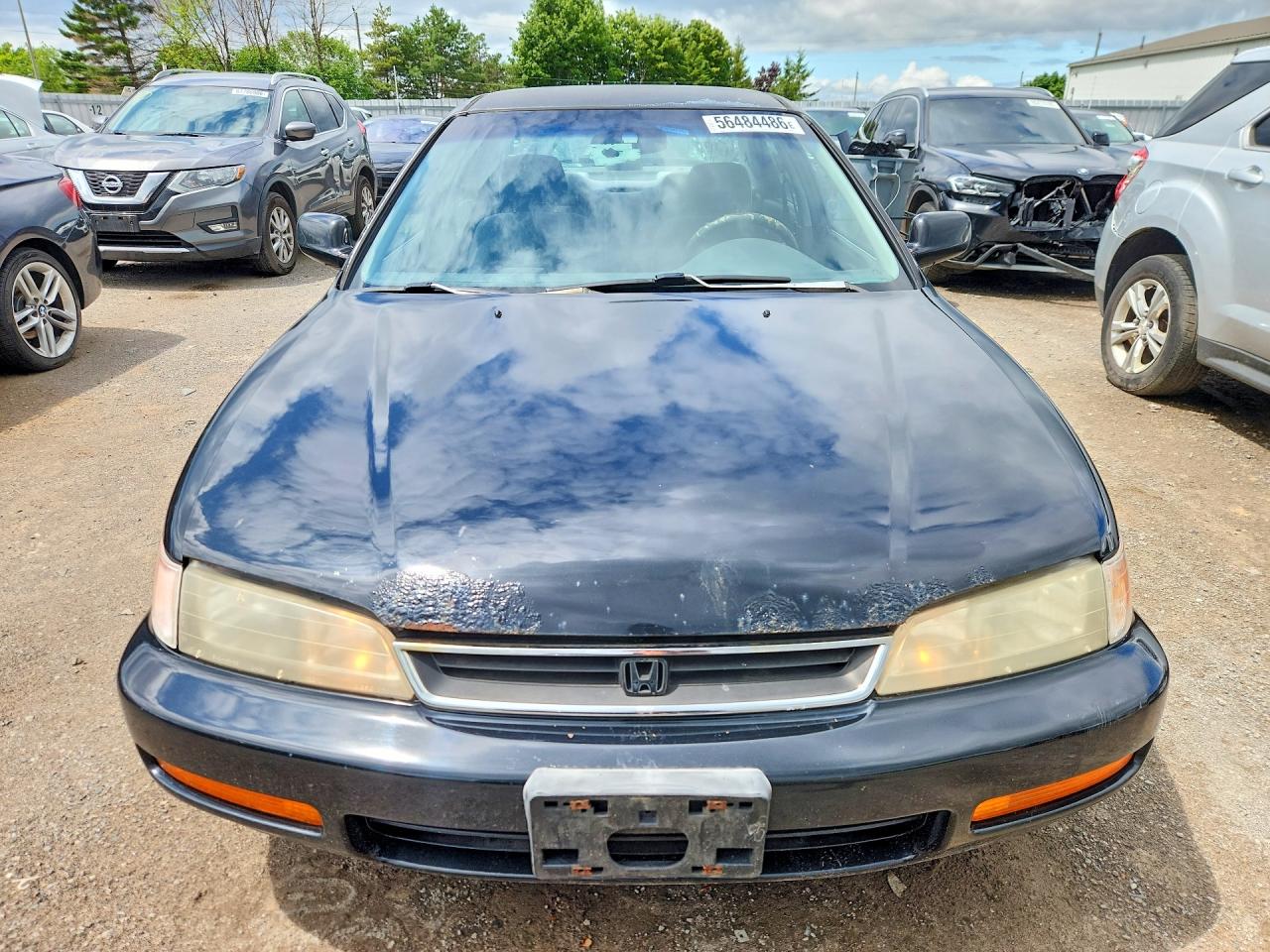 1996 Honda Accord Lx Black vin: 1HGCD5635TA810370