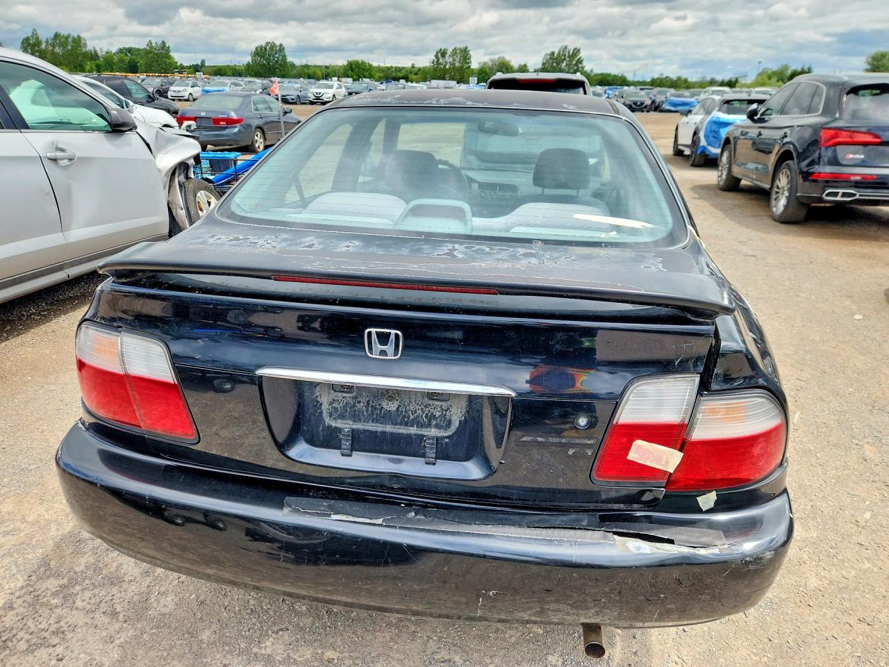 1996 Honda Accord Lx Black vin: 1HGCD5635TA810370