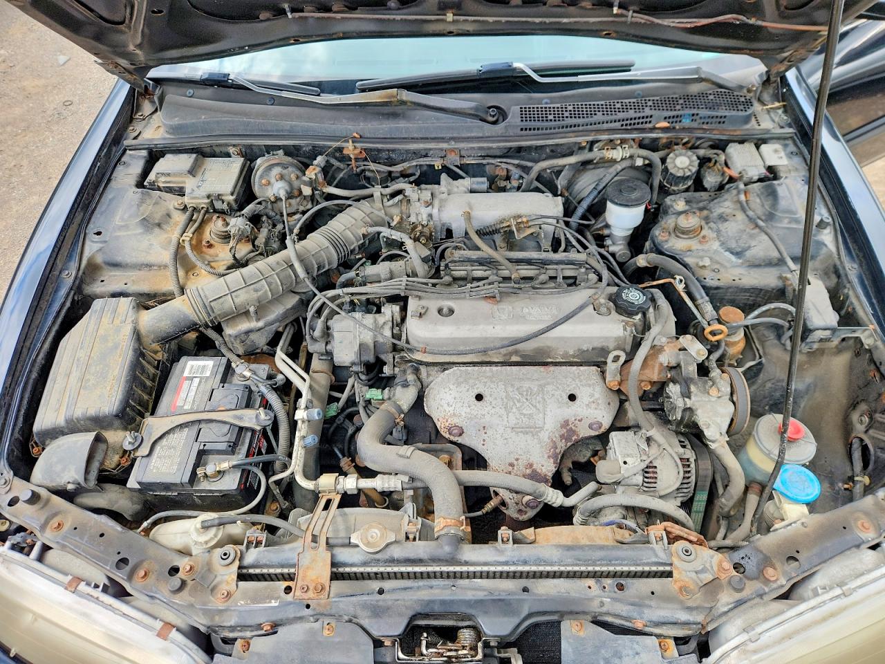 1996 Honda Accord Lx Black vin: 1HGCD5635TA810370