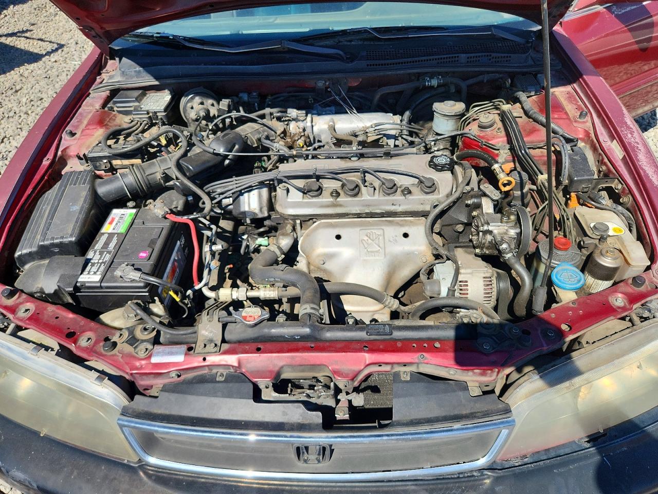 1996 Honda Accord Ex Burgundy vin: 1HGCD5659TA090928