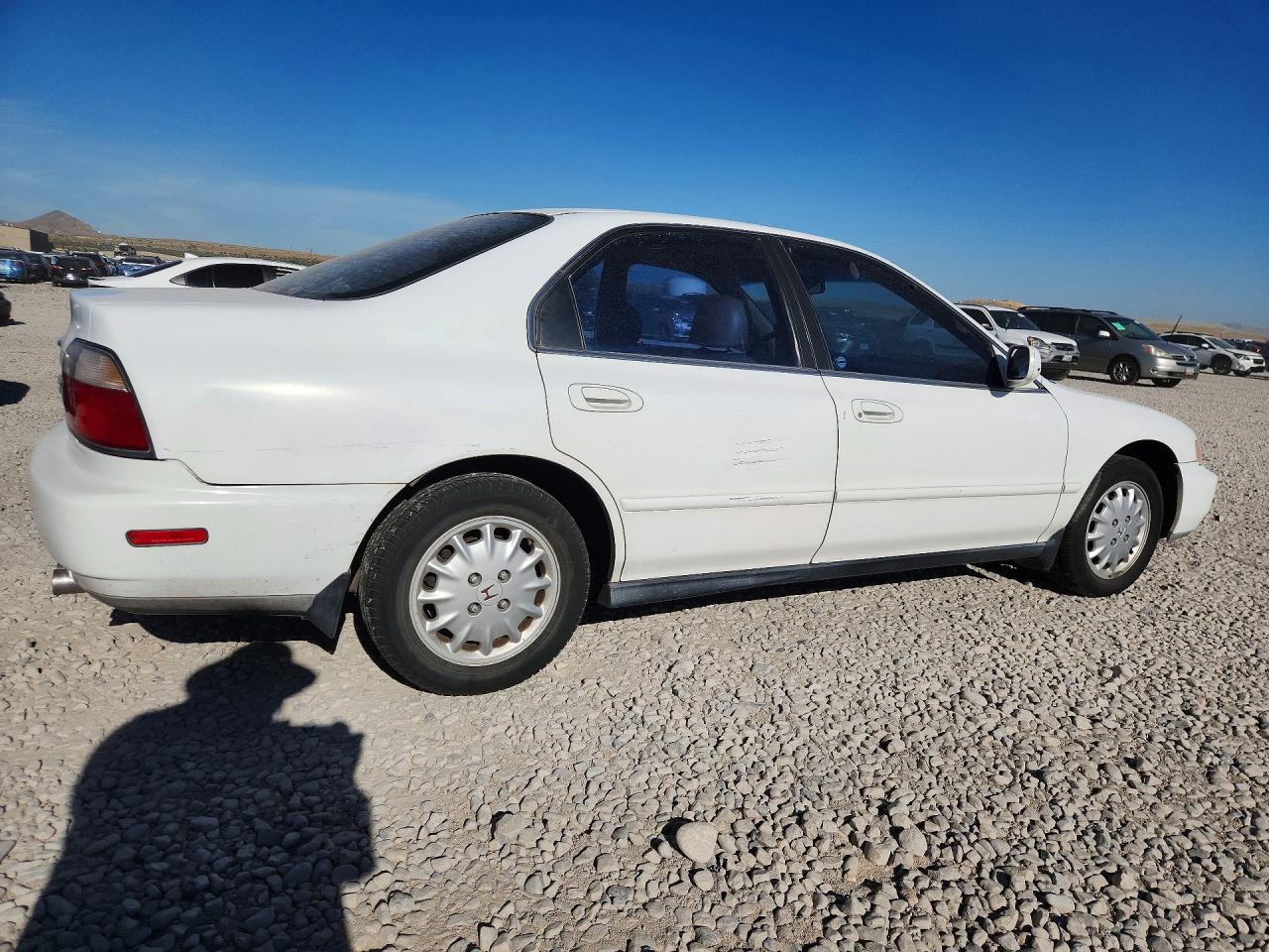 1996 Honda Accord Ex Белый vin: 1HGCD5669TA036425