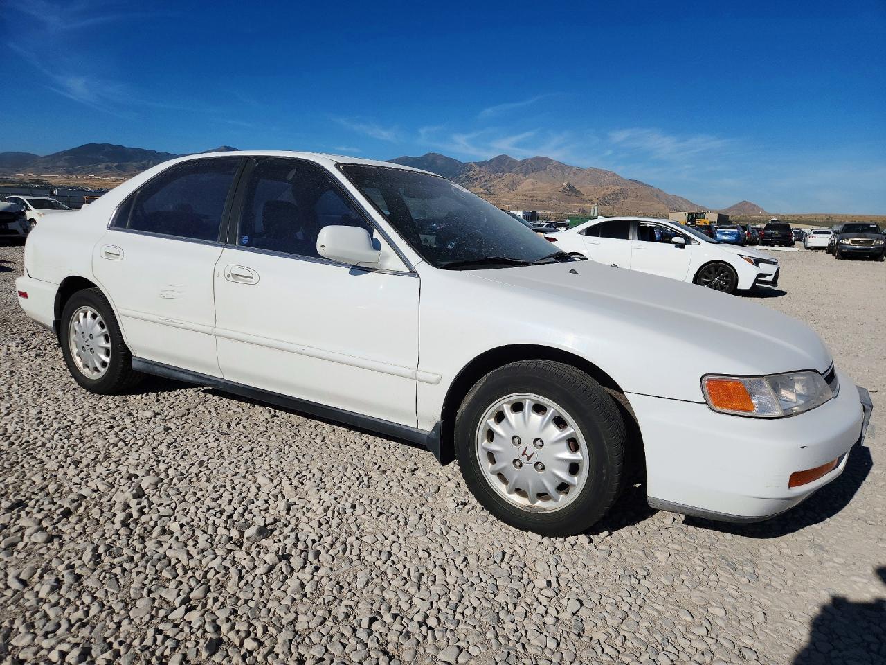 1996 Honda Accord Ex Белый vin: 1HGCD5669TA036425