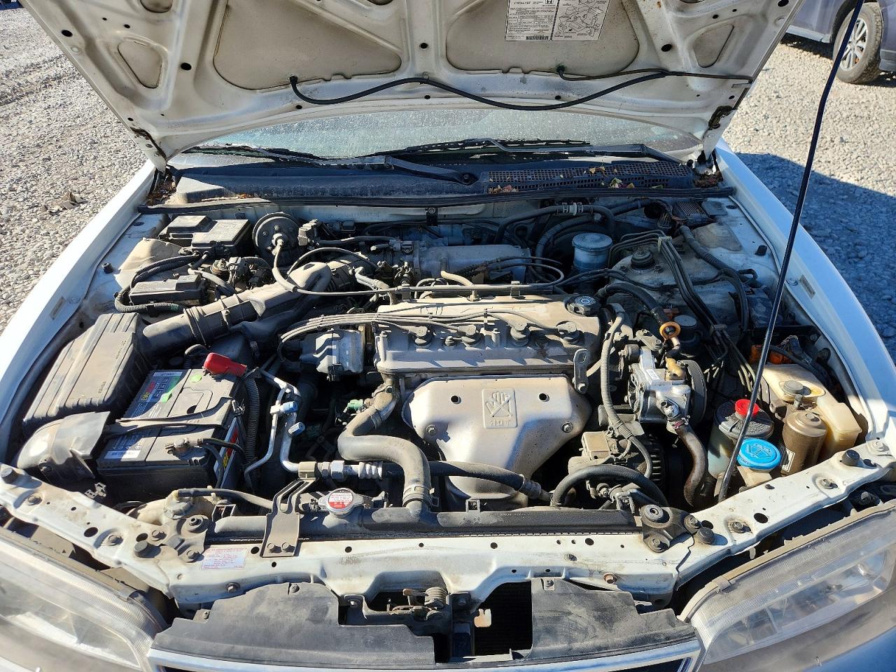 1996 Honda Accord Ex Белый vin: 1HGCD5669TA036425