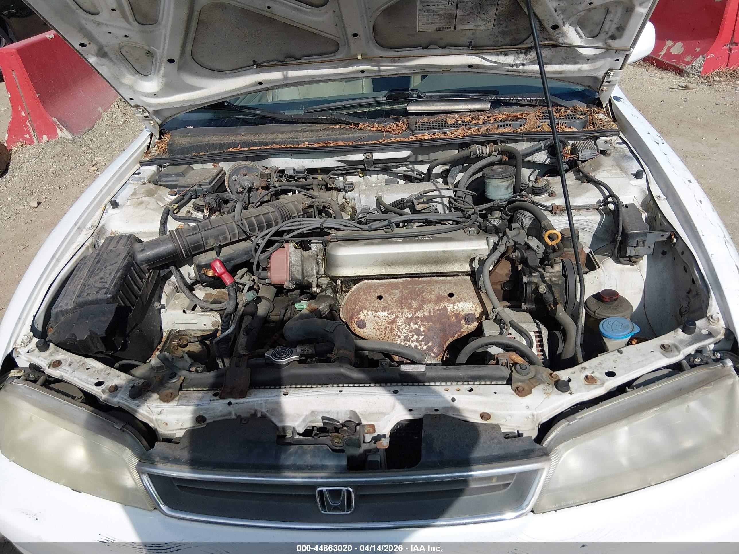 1997 Honda Accord Lx White vin: 1HGCD7234VA019770