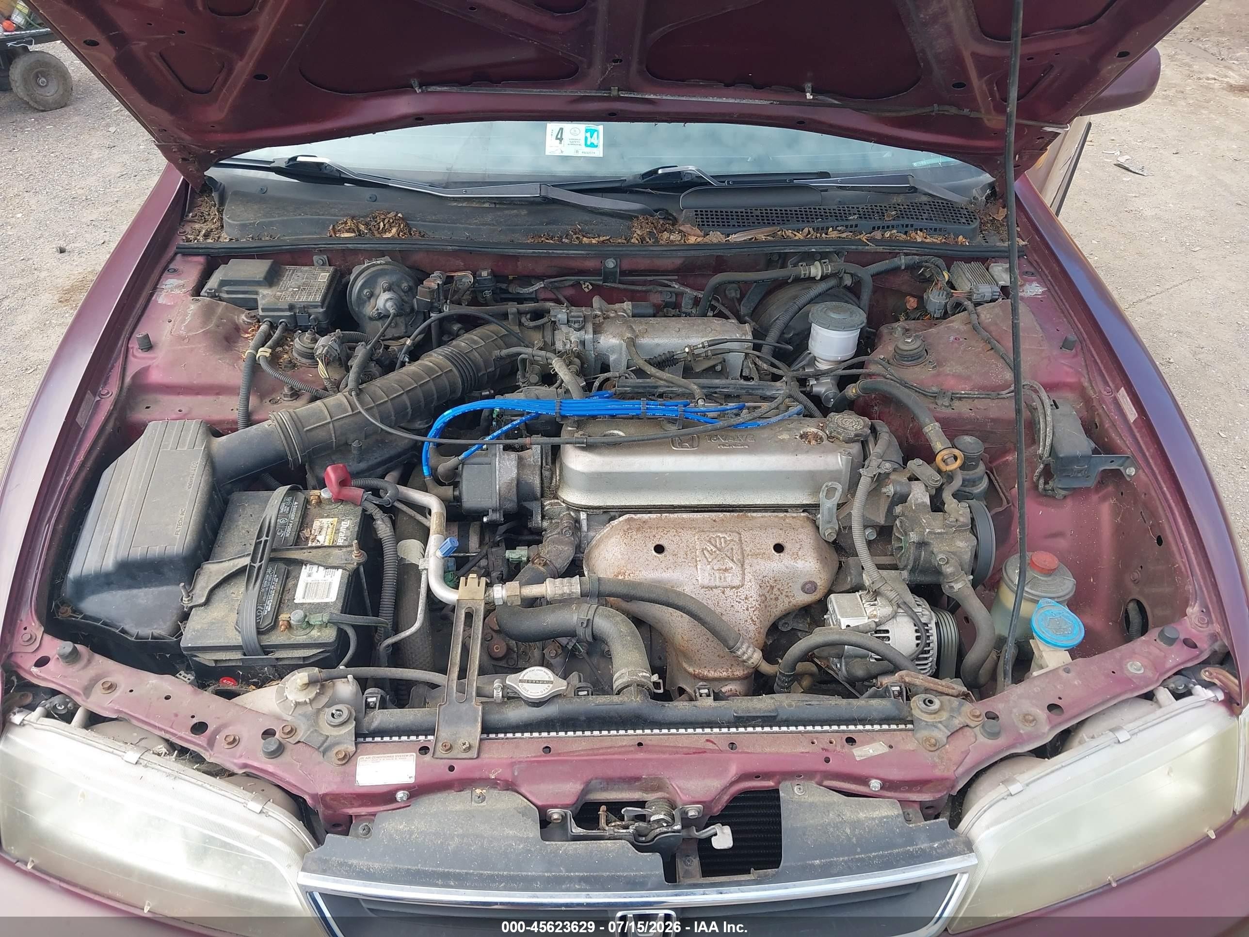 1996 Honda Accord Lx Red vin: 1HGCD7239TA026646