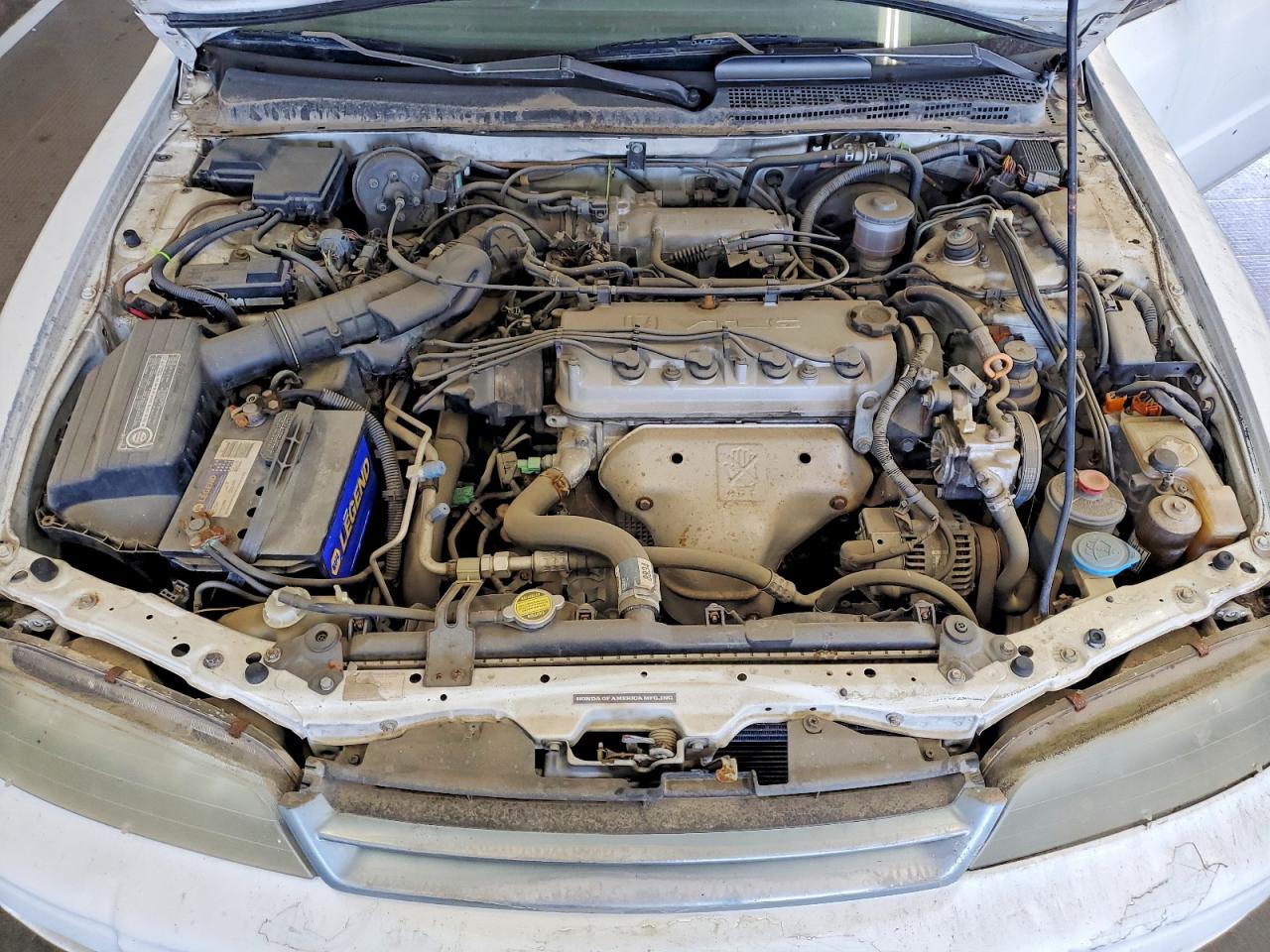 1995 Honda Accord Ex Белый vin: 1HGCD7255SA026871