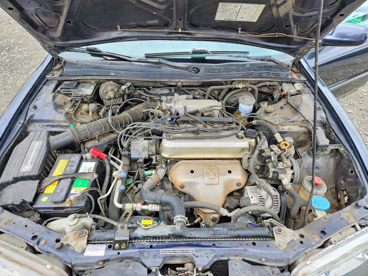 1995 Honda Accord Lx Purple vin: 1HGCE1824SA002150
